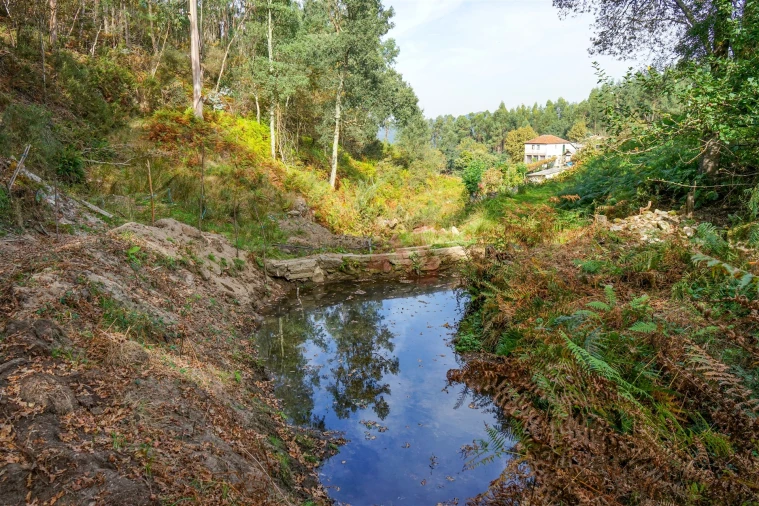 Quinta T3 para Venda em Lustosa e Barrosas (Santo Estêvão) Foto 28