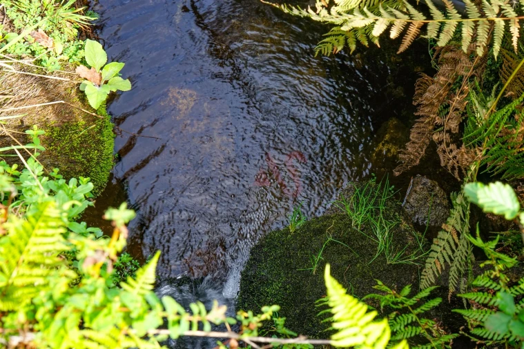 Quinta T3 para Venda em Lustosa e Barrosas (Santo Estêvão) Foto 16