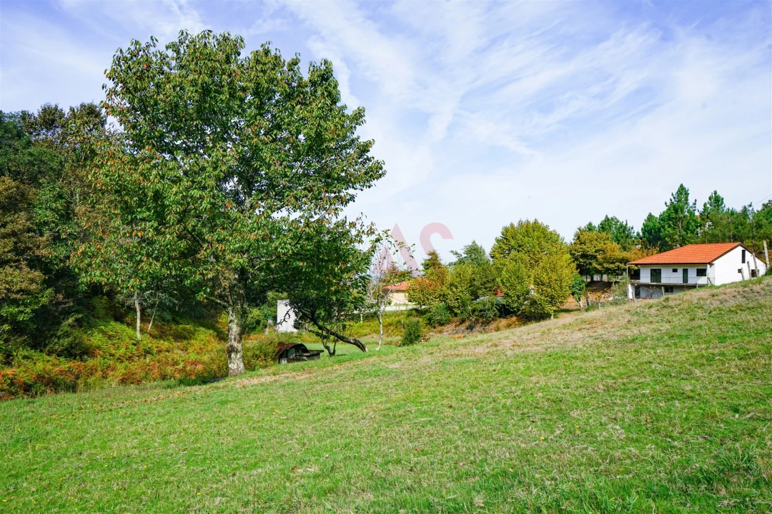 Quinta T3 para Venda em Lustosa e Barrosas (Santo Estêvão) Foto 18
