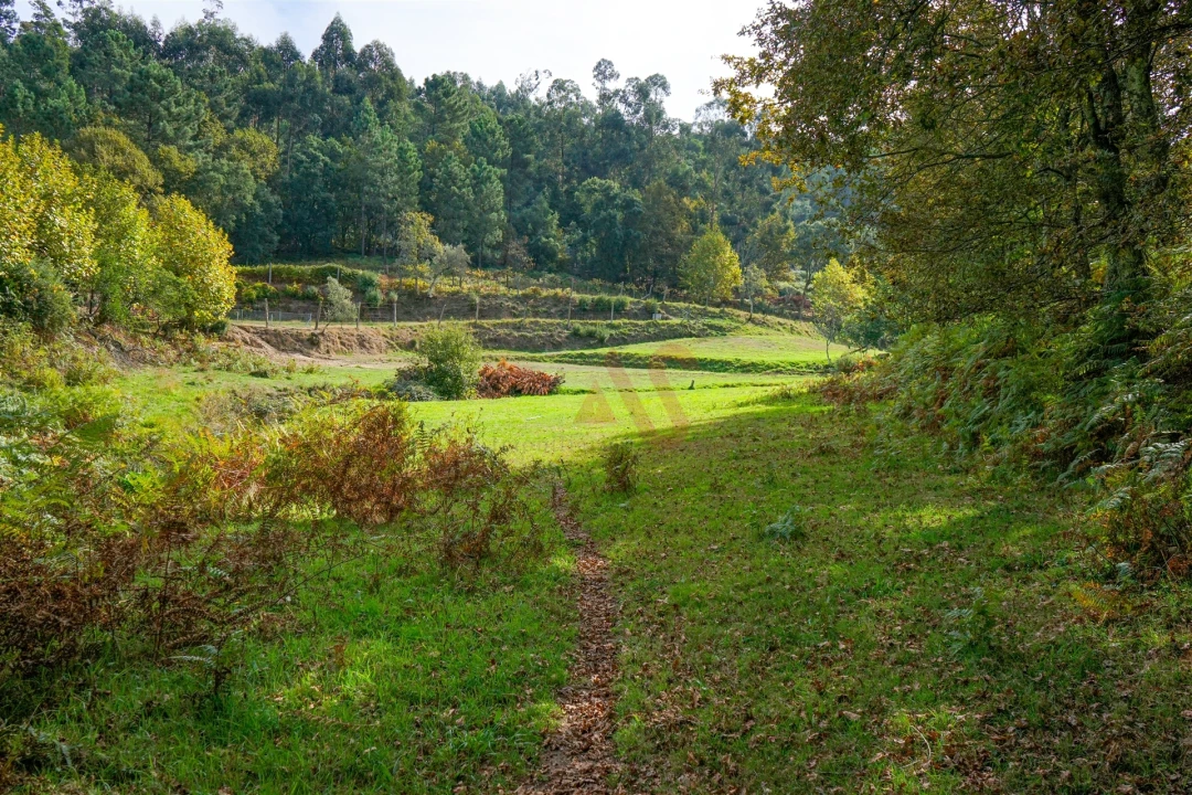 Quinta T3 para Venda em Lustosa e Barrosas (Santo Estêvão) Foto 27