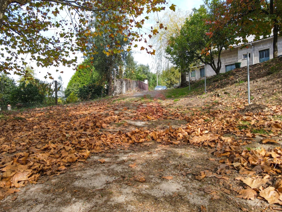 Quinta T3 para Venda em Lustosa e Barrosas (Santo Estêvão) Foto 11