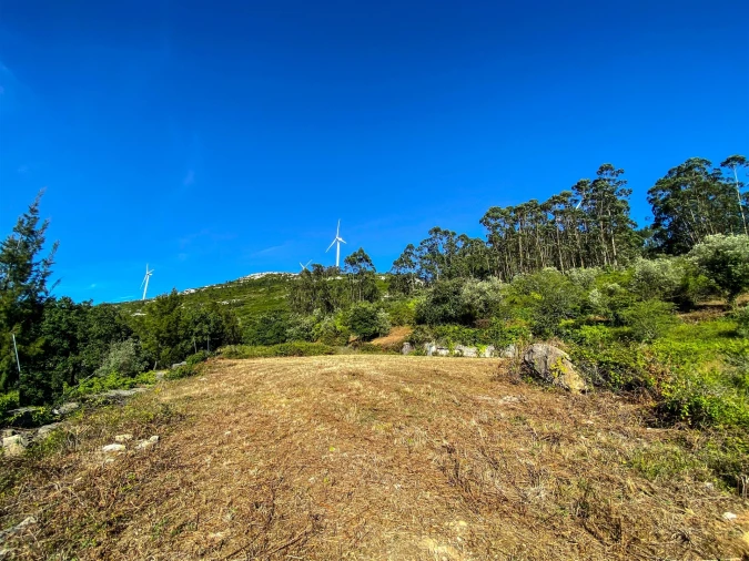 Terreno para Venda em Alqueidão da Serra Foto 8