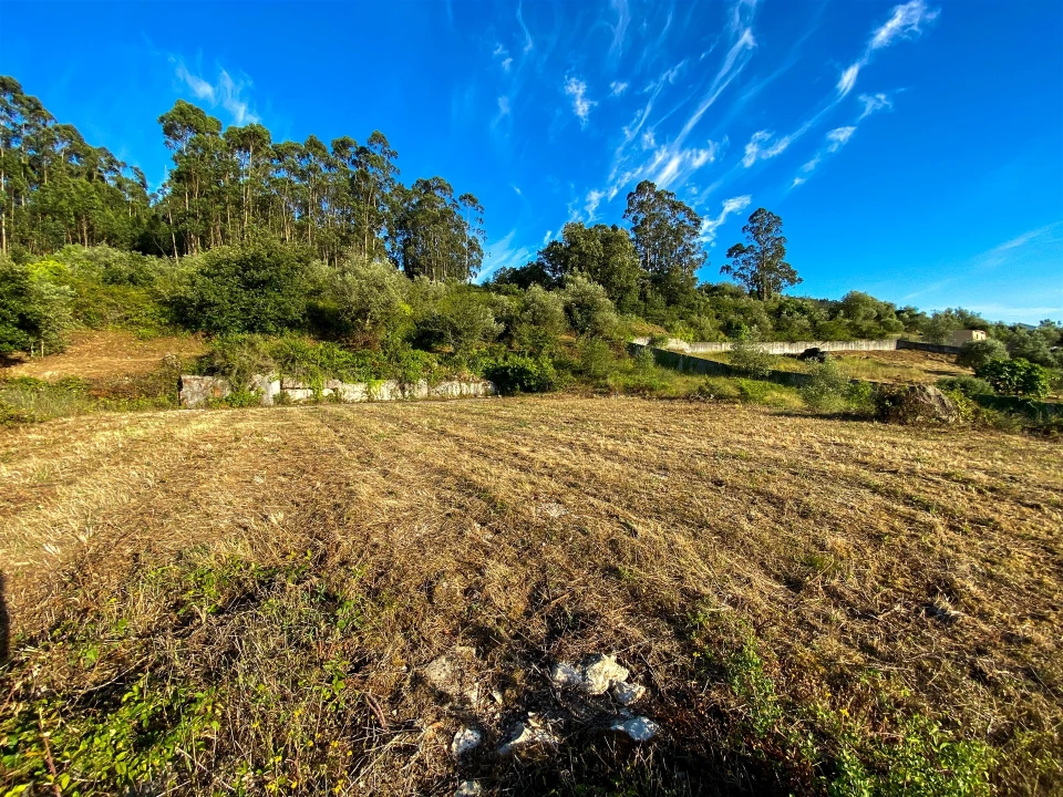 Terreno para Venda em Alqueidão da Serra Foto 5