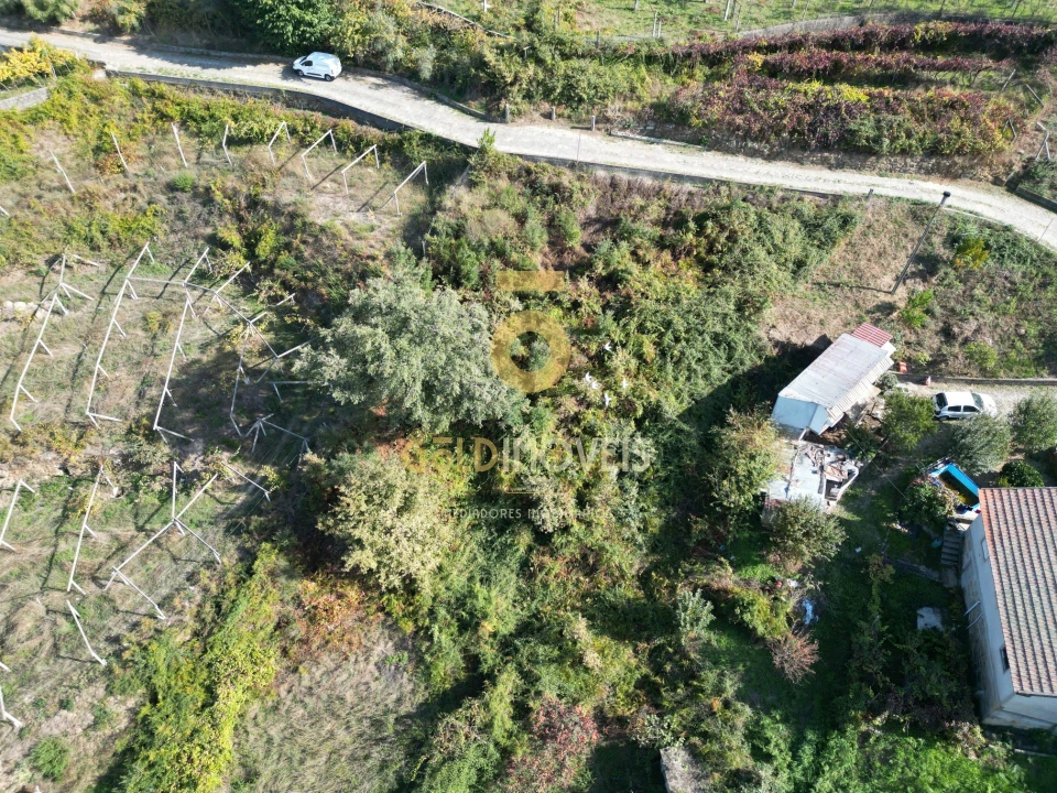 Terreno para Venda em Santa Maria de Sardoura Foto 5