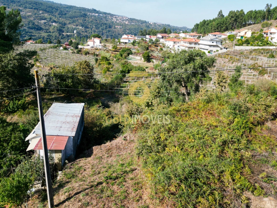 Terreno para Venda em Santa Maria de Sardoura Foto 2