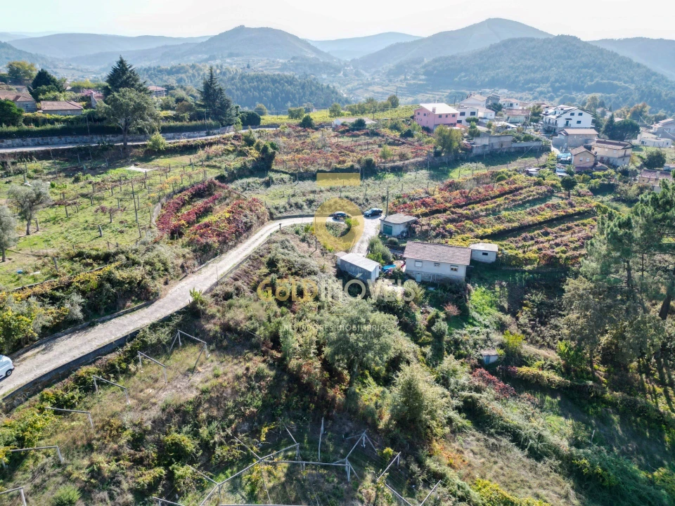Terreno para Venda em Santa Maria de Sardoura Foto 6