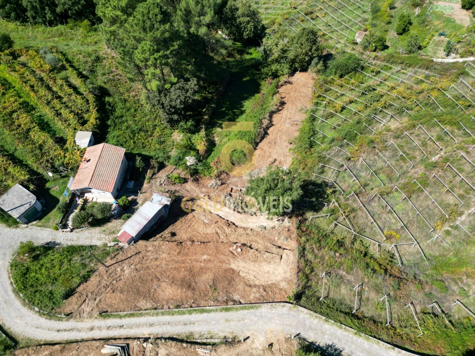 Terreno para Venda em Santa Maria de Sardoura Foto 10