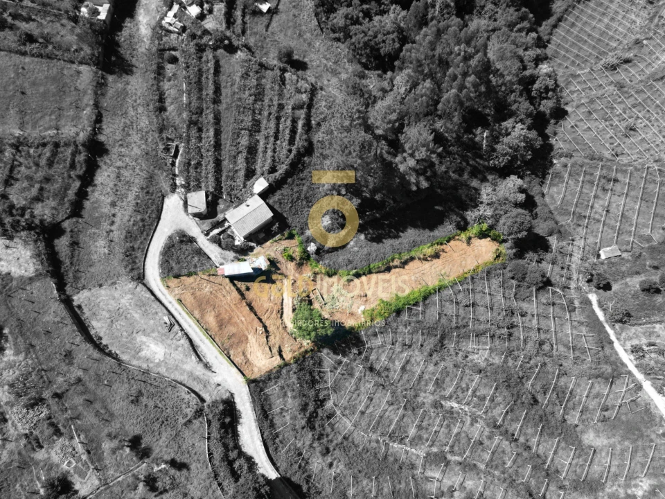 Terreno para Venda em Santa Maria de Sardoura Foto 9