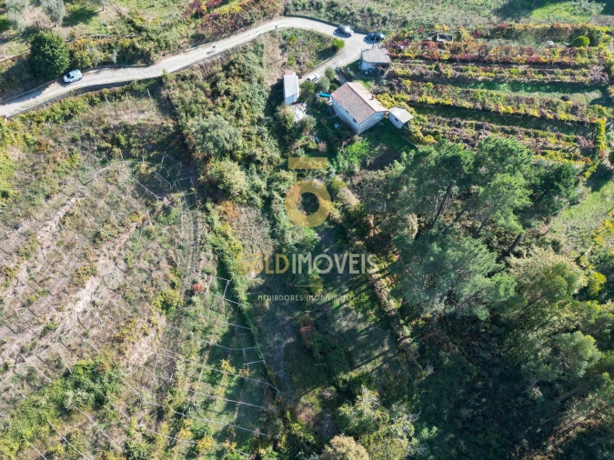 Terreno para Venda em Santa Maria de Sardoura Foto 7