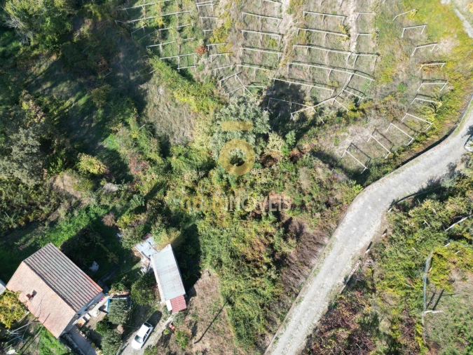 Terreno para Venda em Santa Maria de Sardoura Foto 3