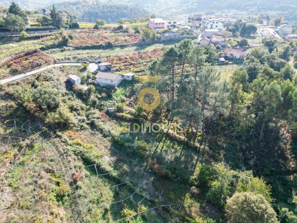 Terreno para Venda em Santa Maria de Sardoura Foto 6