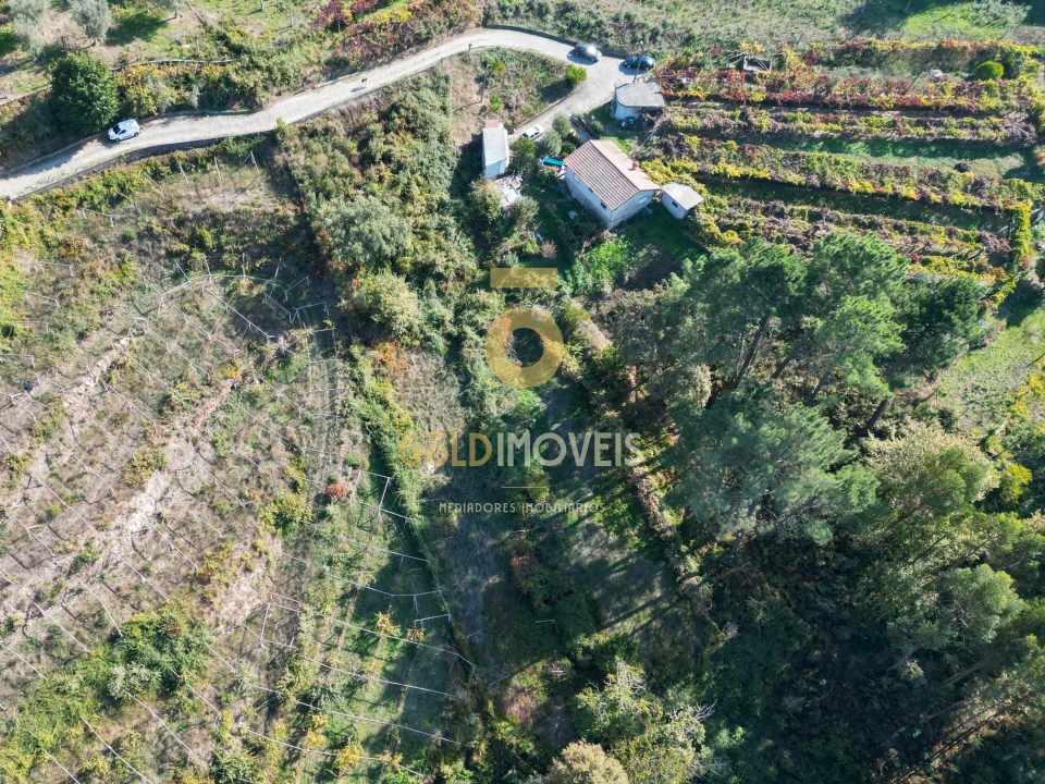 Terreno para Venda em Santa Maria de Sardoura Foto 7
