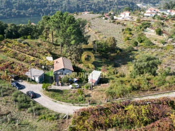 Terreno para Venda em Santa Maria de Sardoura