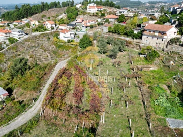 Terreno para Venda em Santa Maria de Sardoura