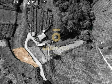 Terreno para Venda em Santa Maria de Sardoura