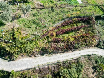 Terreno para Venda em Santa Maria de Sardoura