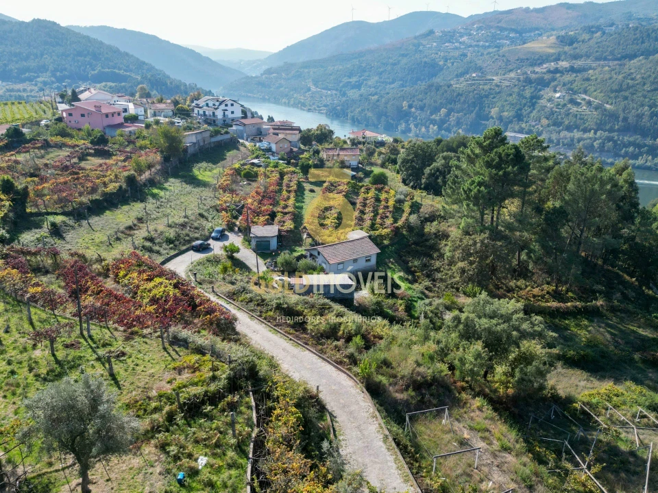 Terreno para Venda em Santa Maria de Sardoura Foto 7
