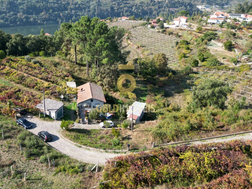 Terreno para Venda em Santa Maria de Sardoura Foto 5