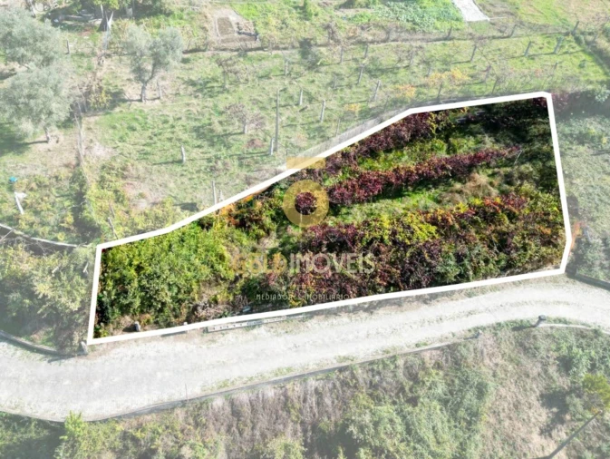 Terreno para Venda em Santa Maria de Sardoura Foto 8