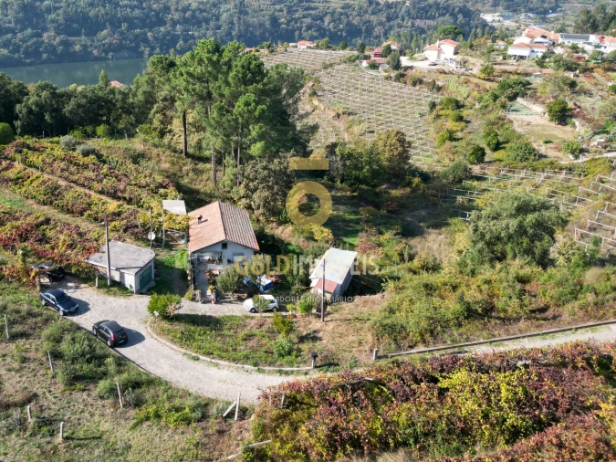 Terreno para Venda em Santa Maria de Sardoura Foto 5