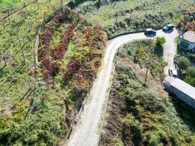 Terreno para Venda em Santa Maria de Sardoura Foto 3