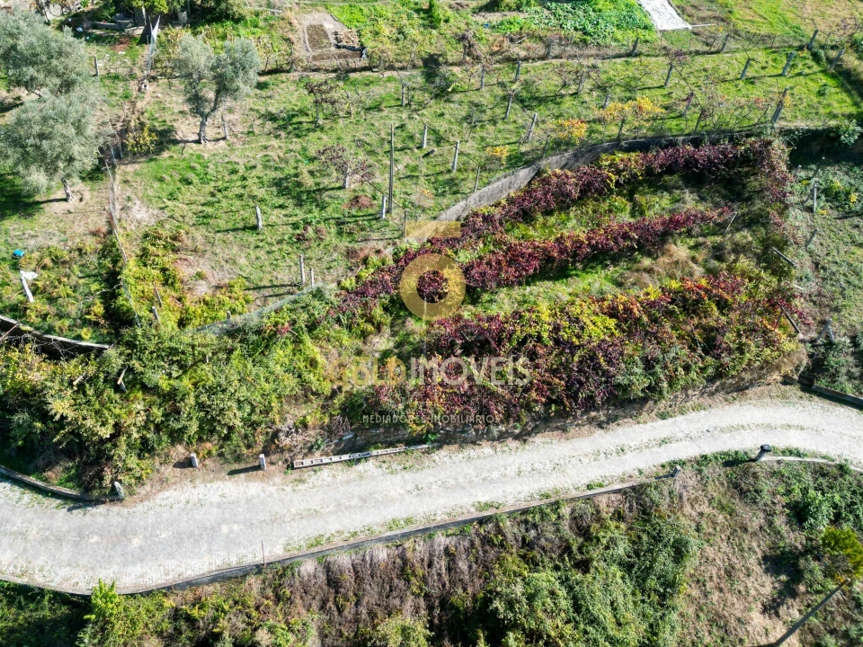 Terreno para Venda em Santa Maria de Sardoura Foto 2