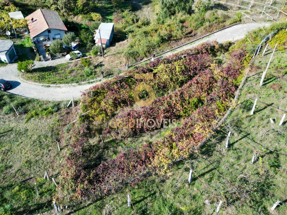 Terreno para Venda em Santa Maria de Sardoura Foto 4