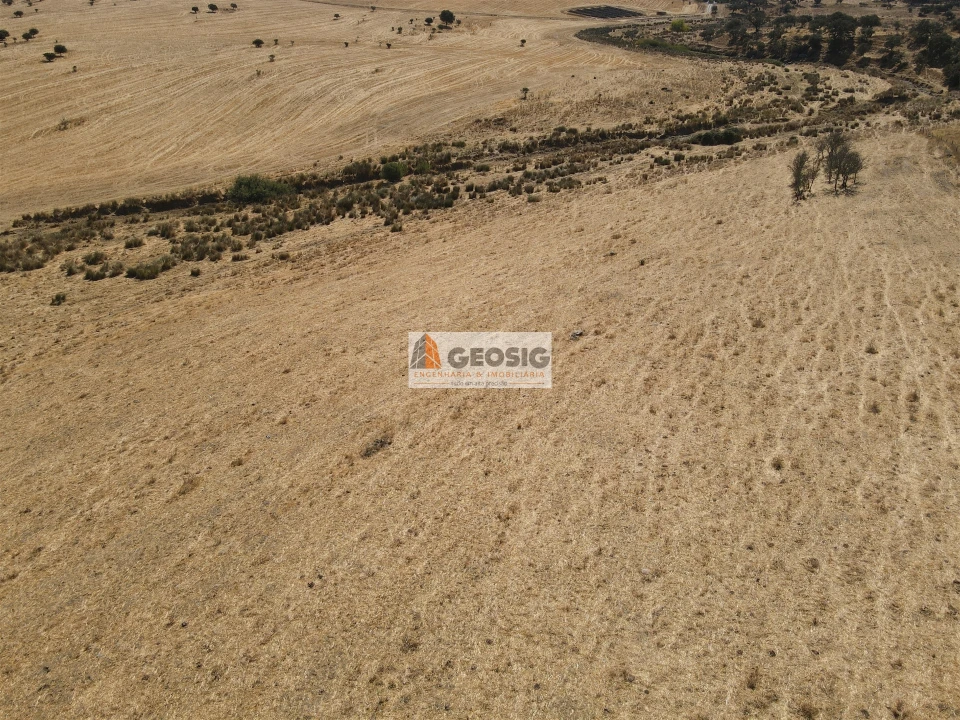 Quinta T4 para Venda em Panoias e Conceição Foto 12