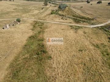Quinta T4 para Venda em Panoias e Conceição