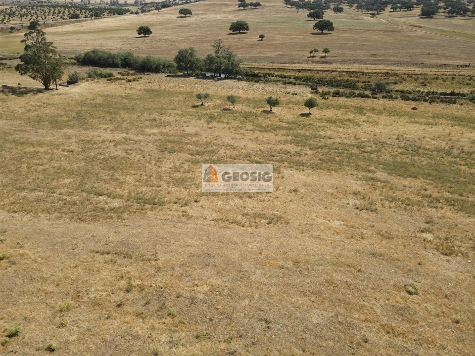 Quinta T4 para Venda em Panoias e Conceição Foto 19