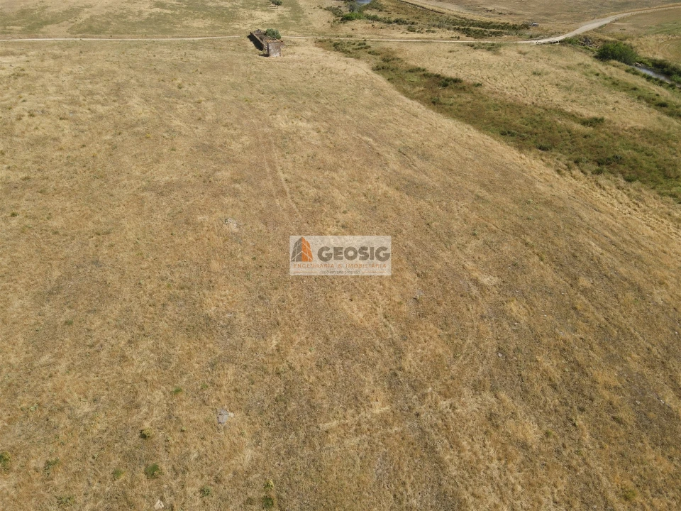 Quinta T4 para Venda em Panoias e Conceição Foto 14