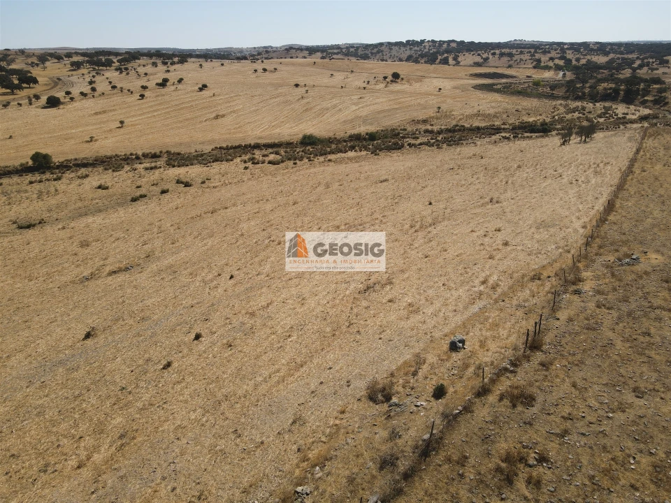 Quinta T4 para Venda em Panoias e Conceição Foto 11