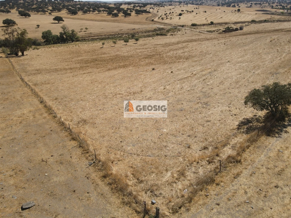 Quinta T4 para Venda em Panoias e Conceição Foto 13