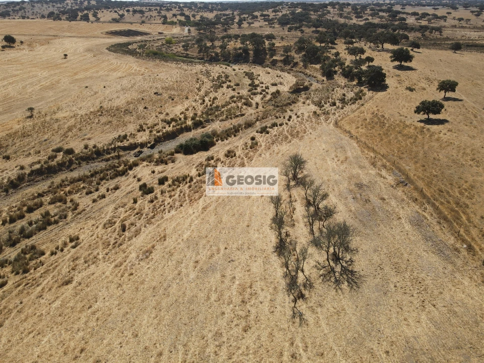 Quinta T4 para Venda em Panoias e Conceição Foto 16