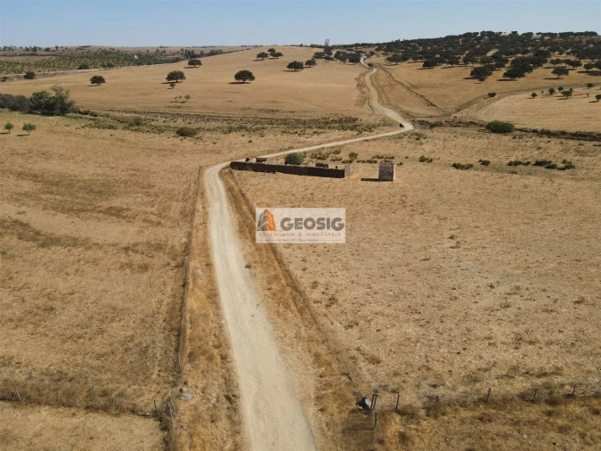 Quinta T4 para Venda em Panoias e Conceição Foto 4