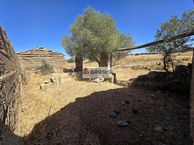 Quinta T4 para Venda em Panoias e Conceição Foto 23