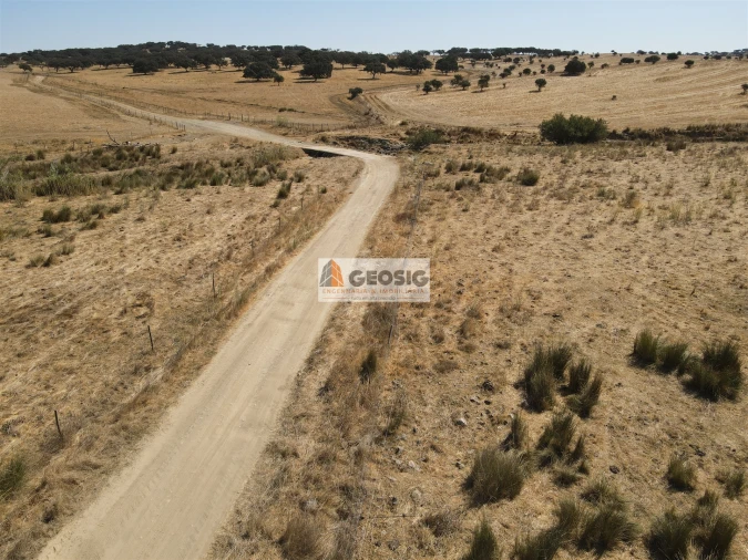 Quinta T4 para Venda em Panoias e Conceição Foto 20