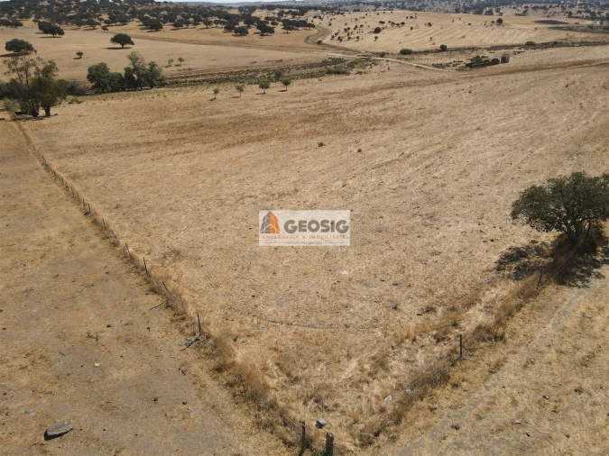 Quinta T4 para Venda em Panoias e Conceição Foto 13