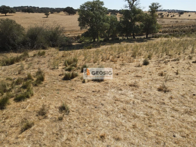 Quinta T4 para Venda em Panoias e Conceição Foto 19