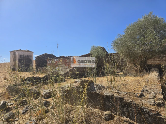 Quinta T4 para Venda em Panoias e Conceição Foto 9