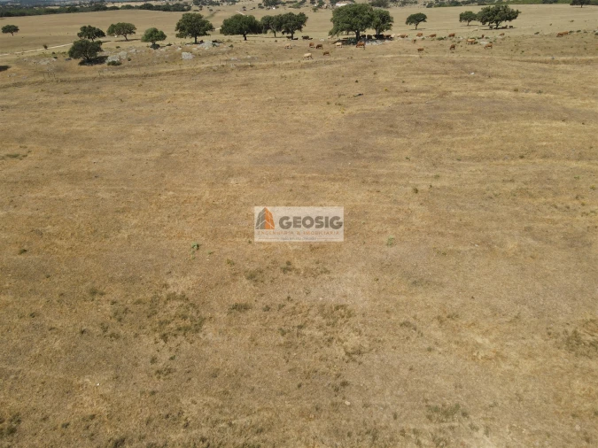Quinta T4 para Venda em Panoias e Conceição Foto 18