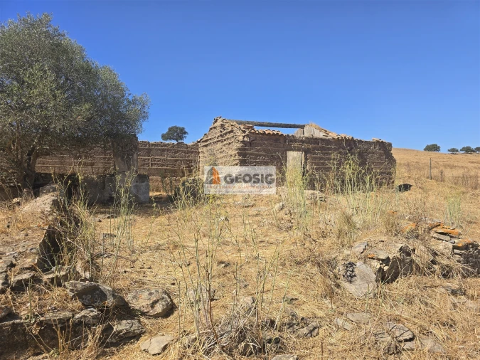 Quinta T4 para Venda em Panoias e Conceição Foto 8