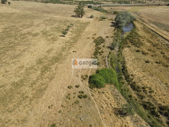 Quinta T4 para Venda em Panoias e Conceição Foto 16