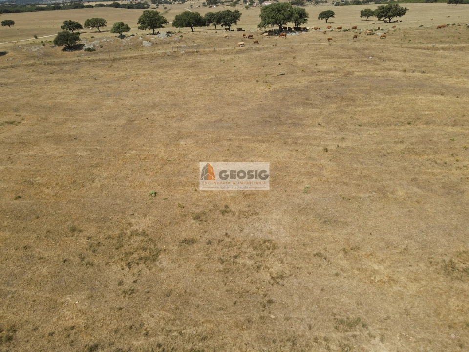 Quinta T4 para Venda em Panoias e Conceição Foto 18