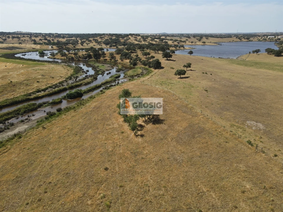 Quinta T4 para Venda em Panoias e Conceição Foto 12