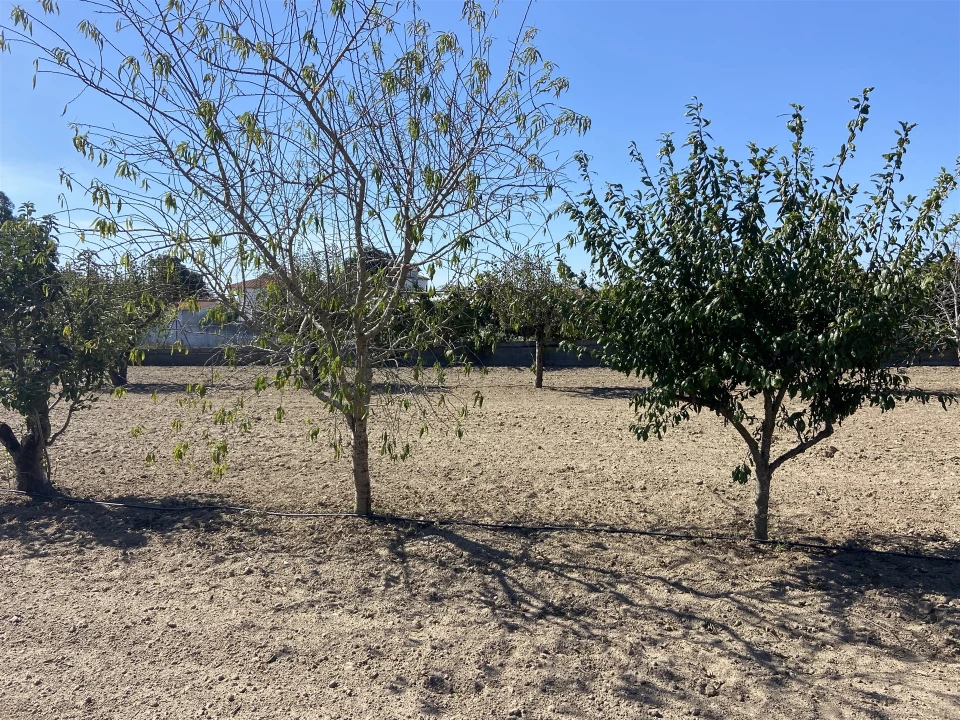 Terreno para Venda em Souto da Carpalhosa e Ortigosa Foto 4