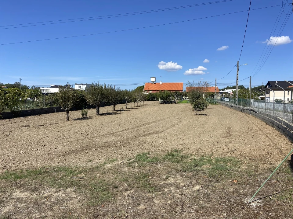 Terreno para Venda em Souto da Carpalhosa e Ortigosa Foto 1