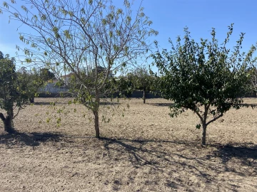 Terreno para Venda em Souto da Carpalhosa e Ortigosa