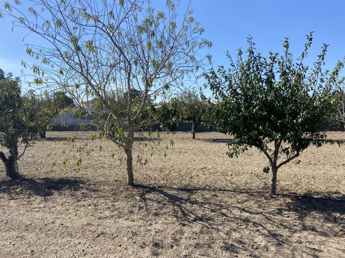 Terreno para Venda em Souto da Carpalhosa e Ortigosa Foto 4
