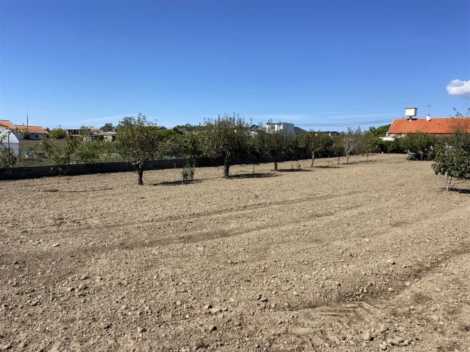 Terreno para Venda em Souto da Carpalhosa e Ortigosa Foto 2